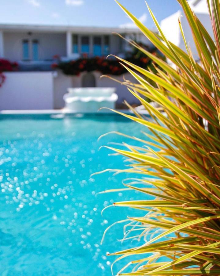 Trade Winds Hotel Dickenson Bay Exteriér fotografie