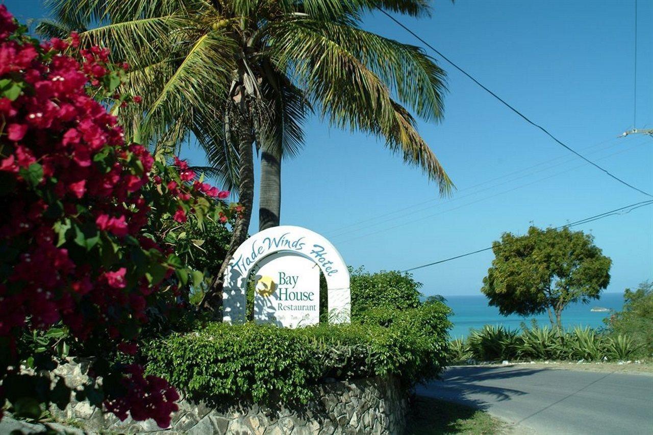 Trade Winds Hotel Dickenson Bay Exteriér fotografie
