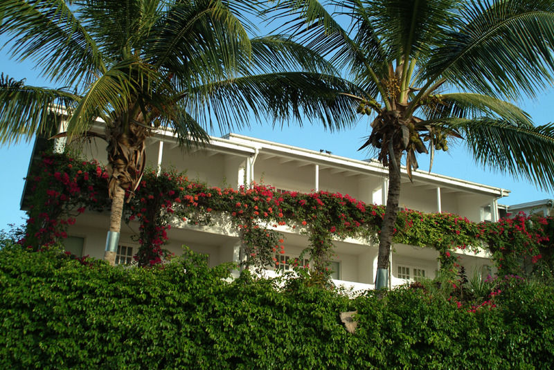 Trade Winds Hotel Dickenson Bay Exteriér fotografie