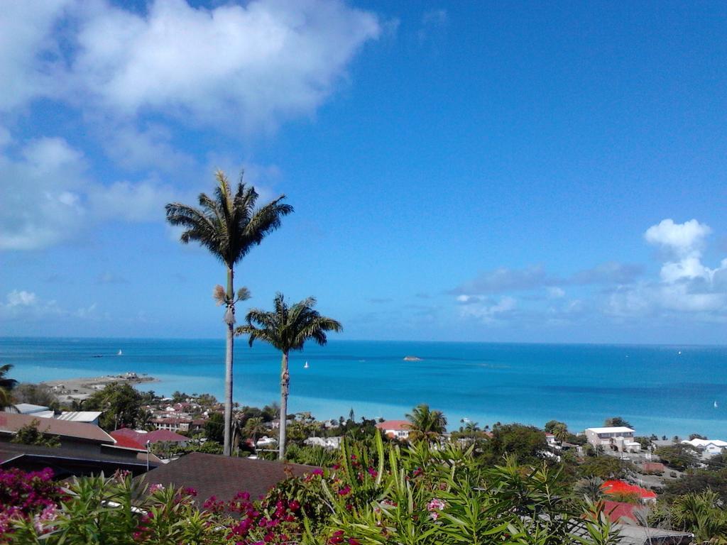 Trade Winds Hotel Dickenson Bay Exteriér fotografie