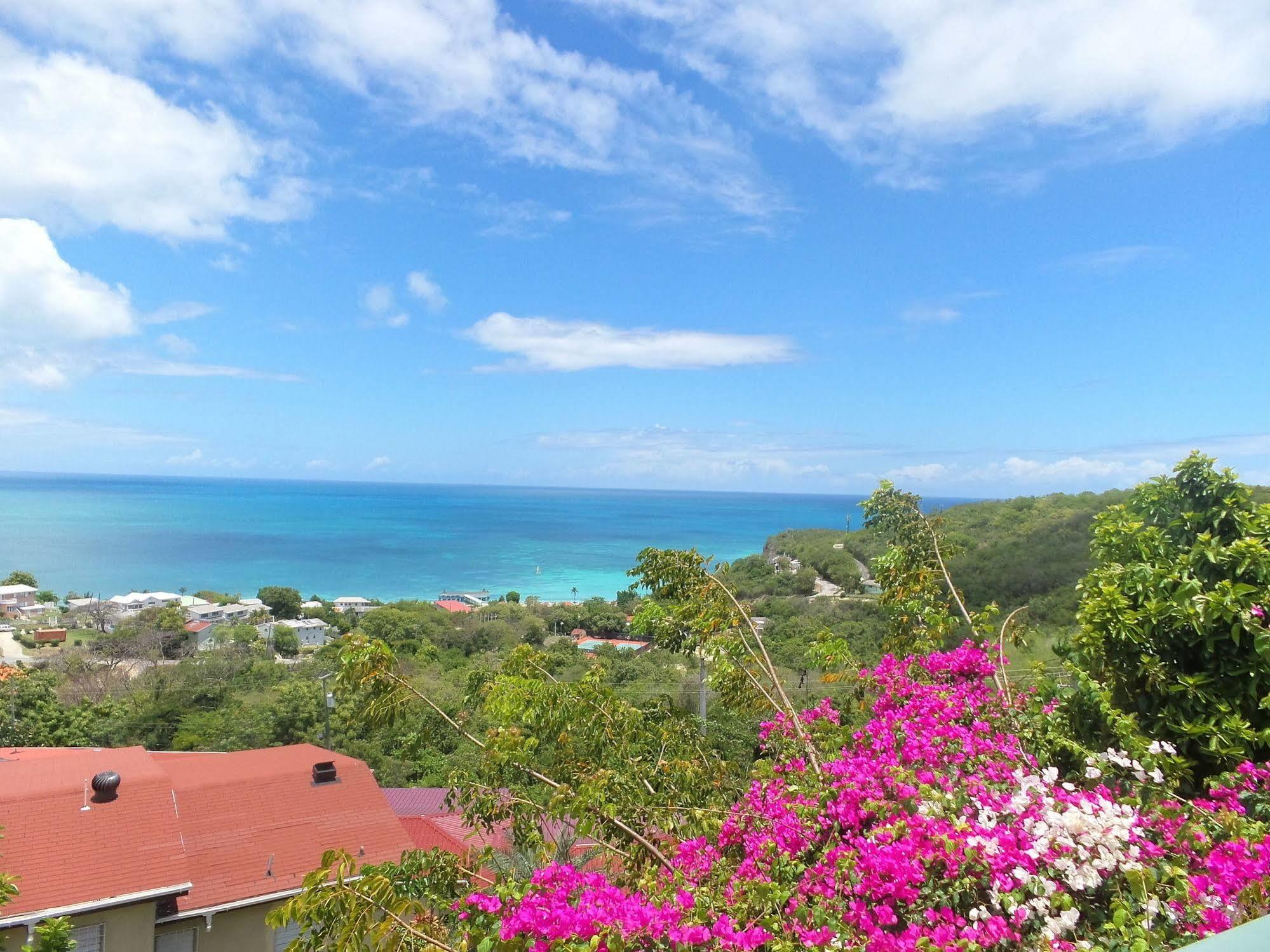 Trade Winds Hotel Dickenson Bay Exteriér fotografie